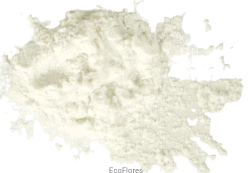 Mika perłowa Szafirowa perła-ecoflores.png