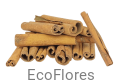 Cynamon Laski dł. około 6 cm ecoflores.png