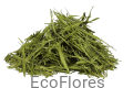 Bambus liście ecoflores.png