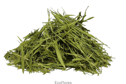 Bambus liście ecoflores.png