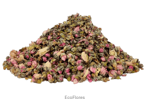 Brzoskwinia pąki kwiatów ecoflores.png