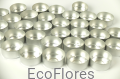 DSCF9996.JPG