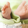 bs_218306482_little feet.jpg