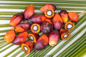 Olej palmowy rafinowany