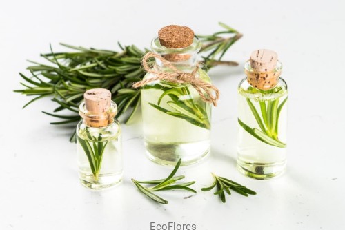 Hydrolat Rozmarynowy Ecoflores.jpg