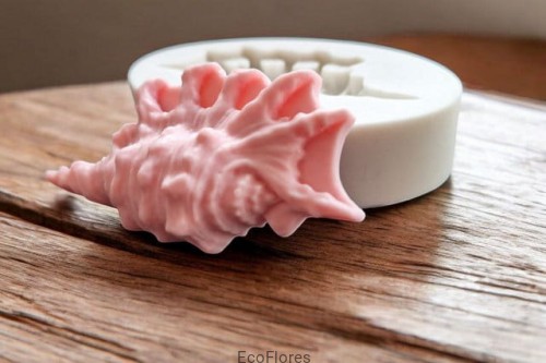 muszelka NSO0023.jpg