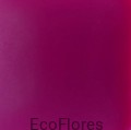 Purpura 613761.jpg
