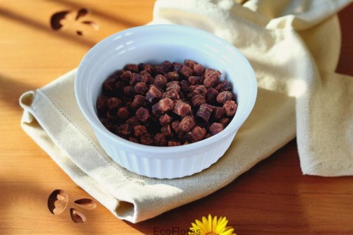 Pierzga Ecoflores.jpg
