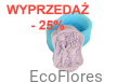 Forma silikonowa Dziewczynka z kwiatami ecoflores.png