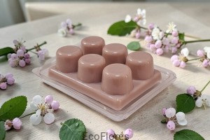 Forma do wosku, pudełko na wosk zapachowy z 6 gniazdami okrągłymi