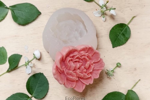 Romantyczna piwonia.jpg