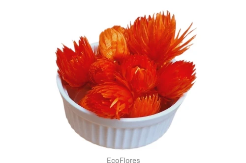 Susz dekoracyjny Capblumen Flower Pomarańczowy