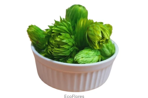 Susz dekoracyjny Capblumen Flower Zielony
