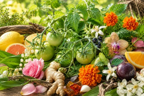 Olejek zapachowy Dziki Pomidor SunDay - Botaniczna Elegancja