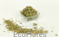 DSCF3501.JPG