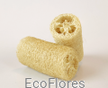 DSCF1034.JPG