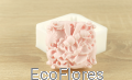 DSCF8020.JPG