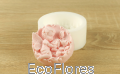 DSCF8048.JPG