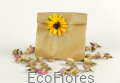 DSCF9050.JPG
